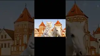 I explore Minsk, Belarus #persiancat #explore  #minskbelarus  #shorts