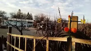 A Beautiful Sunny Day In The Okanagan Valley February 24 2025