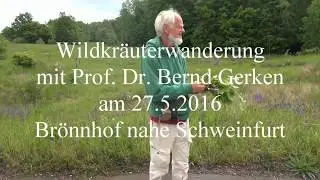 Wildkr&auml;uterwanderung mit Prof. Dr. Bernd Gerken am Br&ouml;nnhof
