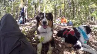20 mile hike AND a mountain?