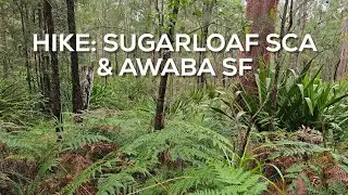 Hike in Sugarloaf State Conservation Area and Awaba State Forest