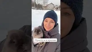 Просто кролик и я