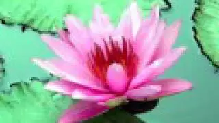 Inner Essence