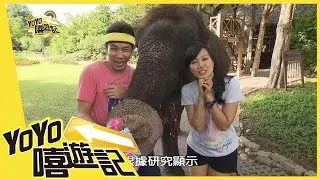 泰利害 尋世界之最 香蕉 彩虹 YOYO嘻遊記 S11 第十二集