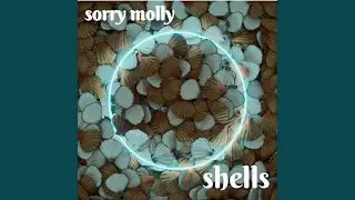 Shells