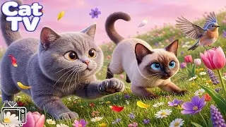 Cartoon for Cats: Fun Cat Videos for Cats to Stimulate Hunting Instincts | CAT TV & Music for Cats