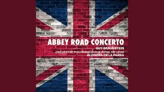 Abbey Road Concerto for Violin and Orchestra: V. Something