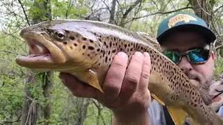 Central PA Trout Potter County