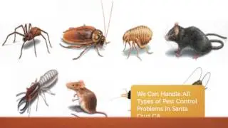 O'Connor Pest Control Service in Santa Cruz