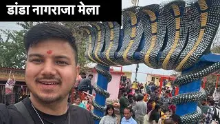 || द्वि गति बैसाख का डांडा नागराजा मेला Vlog|| Danda Nagraja Mela ||
