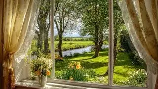 A Serene Window View with Flowing Water and Whispering Trees.Peaceful and Relaxing