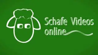 Rh&ouml;nkanal: Das gr&uuml;ne Schaf ist online!