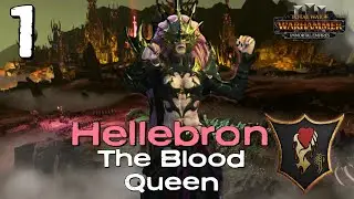 RISE OF THE BLOOD QUEEN!! | Hellebron The Hag Queen | Immortal Empires Modded Stream Campaign Part 1