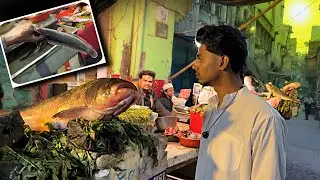 Moradabad machli market 🥺#youtube #vlog