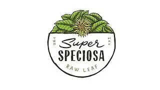 How to Make Kratom Tea with Super Brew Tea Bags