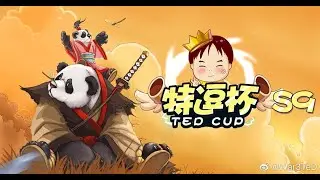 TeD Cup #9 - Полуфиналы с Майкером