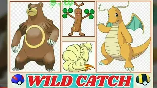 POKEMON GO - RARE WILD CATCH