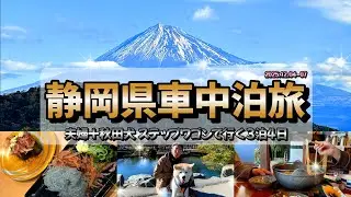 夫婦+秋田犬 ステップワゴンで行く 3泊4日 静岡県車中泊旅 2025.12.04-07