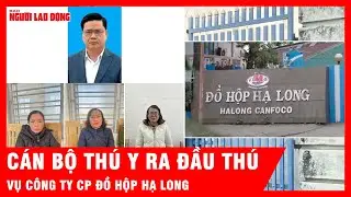 130 tấn thịt lợn nhiễm dịch tuồn v&agrave;o đồ hộp Hạ Long: H&eacute; lộ mắt x&iacute;ch kiểm dịch khống  | Tin tức