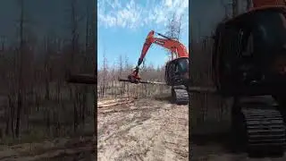 Xuvol Harvester Head 600HP #Harvesterhead#Xuvol#forestrymachinery  #excavatorattachments