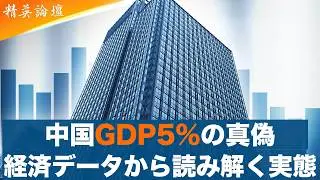 数字で暴くGDP5％の裏側　国家が仕掛けた危険な賭け #精鋭論壇