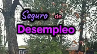 &ldquo;Seguro de Desempleo en Canad&aacute; 🇨🇦&iquest;Cu&aacute;nto te toca y c&oacute;mo saber si calificas?&rdquo;