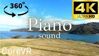 【CureVR】Relaxation, Mindfulness Meditation with English narration