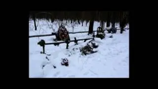 kat.4 Памятник в лесу