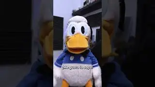 &iquest;&iquest;SOPA DE QU&Eacute;&Eacute;&Eacute;&Eacute;&Eacute;?? 🍜🦆