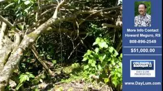 Land For Sale Puna HI Real Estate on 8025 SqFt-Acres $51000.00 Puna HI Howard Meguro RS