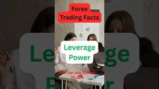 Forex trading Facts 3 - Leverage Power
