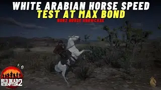 White Arabian Horse Speed Test at Max Bond | RDR2 Horse Showcase