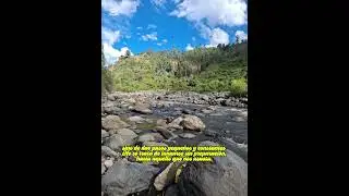 Reflexi&oacute;n Profunda Sobre Superar Tus Miedos 😨 