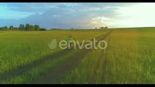 Sporty Child Runs Through a Green Wheat Field. Evening Sport Training Exercises at Rural Meadow....