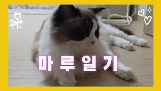 2026년 1월 24일 토요일 마루일기