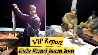 Charna Fishing | Sunhera To Hashmat Wali | VIP Fishing | Kala Kund Jaam | #charnafishing