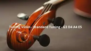 Tuning Violin - Standard Tuning - G3 D4 A4 E5