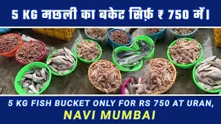 Fresh Fish at Bucket price Navi Mumbai| उरन होलसेल मछली  बाज़ार Fish Market| @Fishmarketchannel