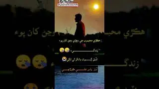 Sindhi whatsapp status video very heart touching poetry for tiktok(9)