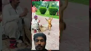Bandar ki power🐒🐒🐒🐒