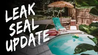 We painted our pool with Leak Seal! How is it holding up?
