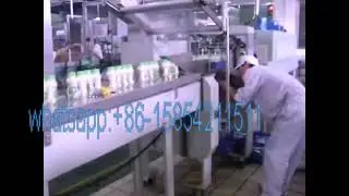 Box motion end seal vertical cutter shrink wrapping machine for yogurt bottles
