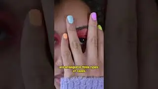 Which Color Is The Human Eye Most Sensitive?