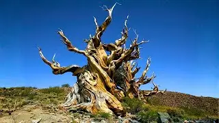 The Real U.S. National Parks Nobody Is Talking About