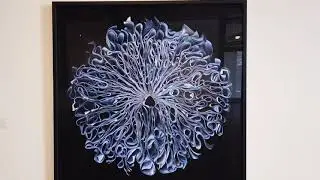 Focus On Photography / A group exhibition at Foster/White Gallery