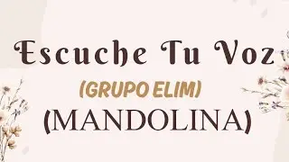 Mandolina💕 Escuche Tu Voz | Grupo Elim | Metodo por Numero