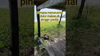 Makan ndak enak, di bawa ke tepi pantai nikmat banget