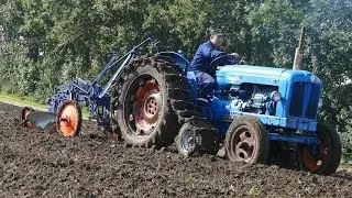 Fordson Major w/ Half Tracks Cultivatin The Field w/ Old Iron Cultivator on Wheels | DK Agriculture