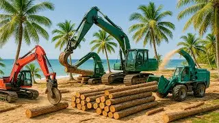 Construction Works: Excavator & Bulldozer Clear Coconut Trees at the Beach