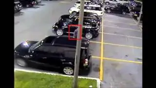 CheckVideo Arrest Car Dealership